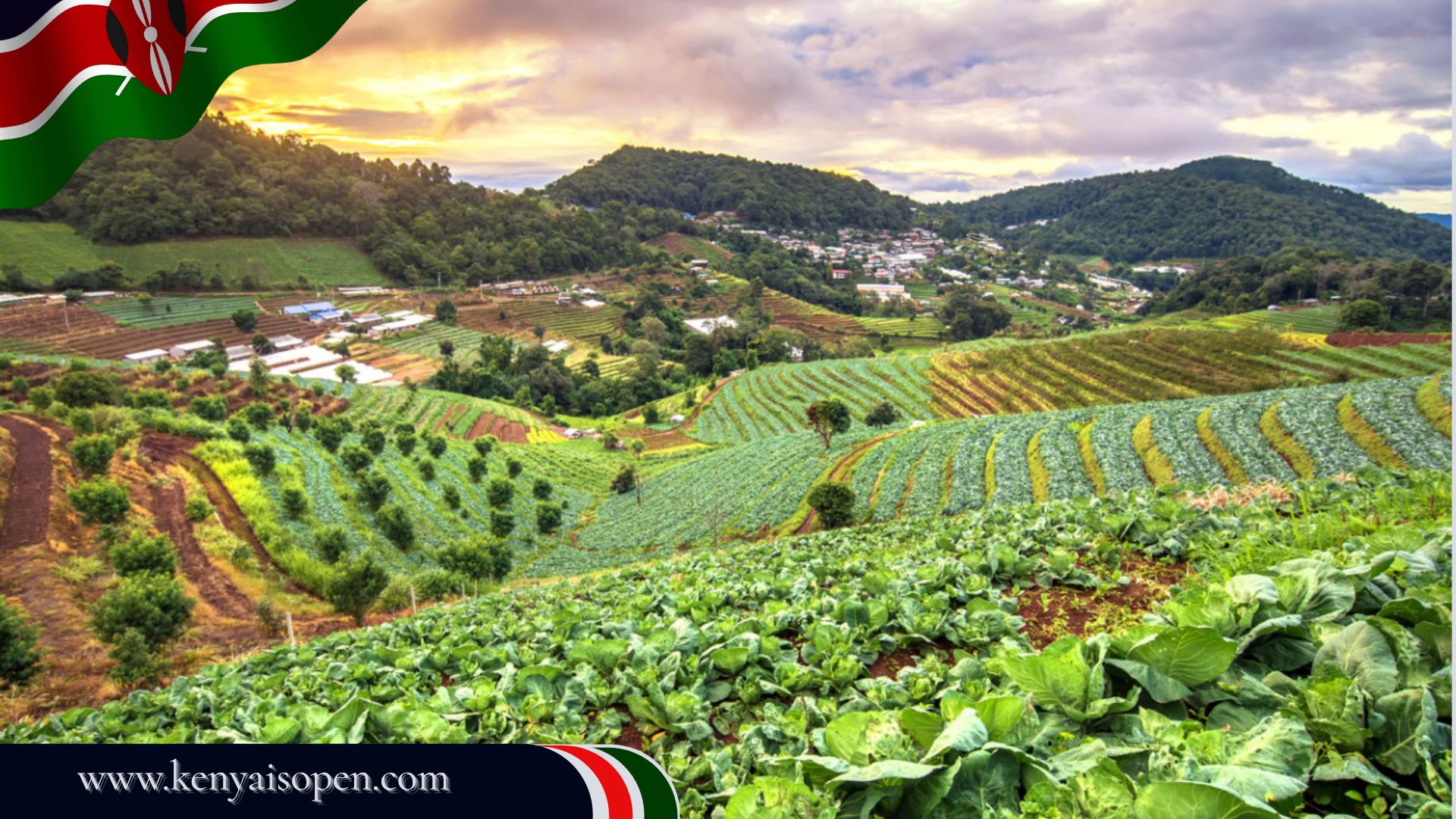 Agriculture and Food Security is Kenya's strategic diplomacy component of the #KenyaIsOpen diplomacy drive